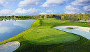 Falcon's Fire Thumbnail as Available Course